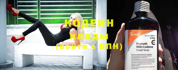 прущие грибы Дмитриев