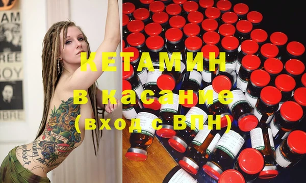 прущие грибы Дмитриев