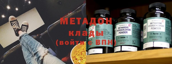 прущие грибы Дмитриев