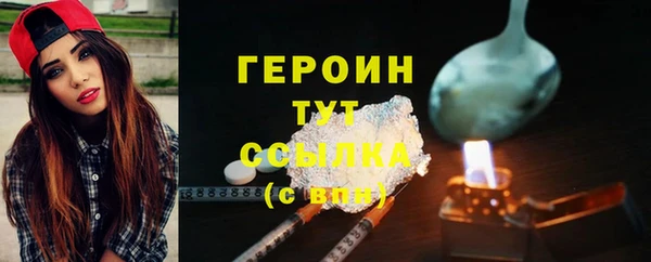 прущие грибы Дмитриев