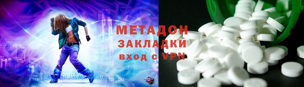 прущие грибы Дмитриев