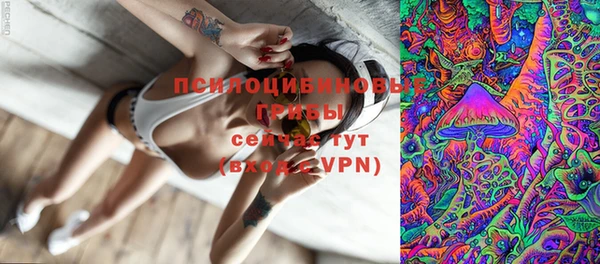 прущие грибы Дмитриев