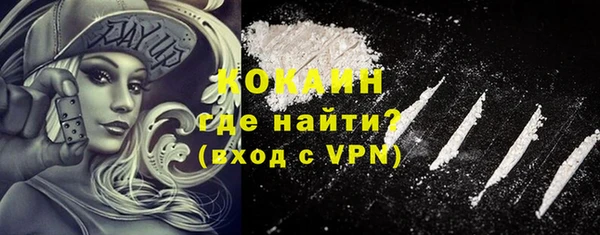 прущие грибы Дмитриев